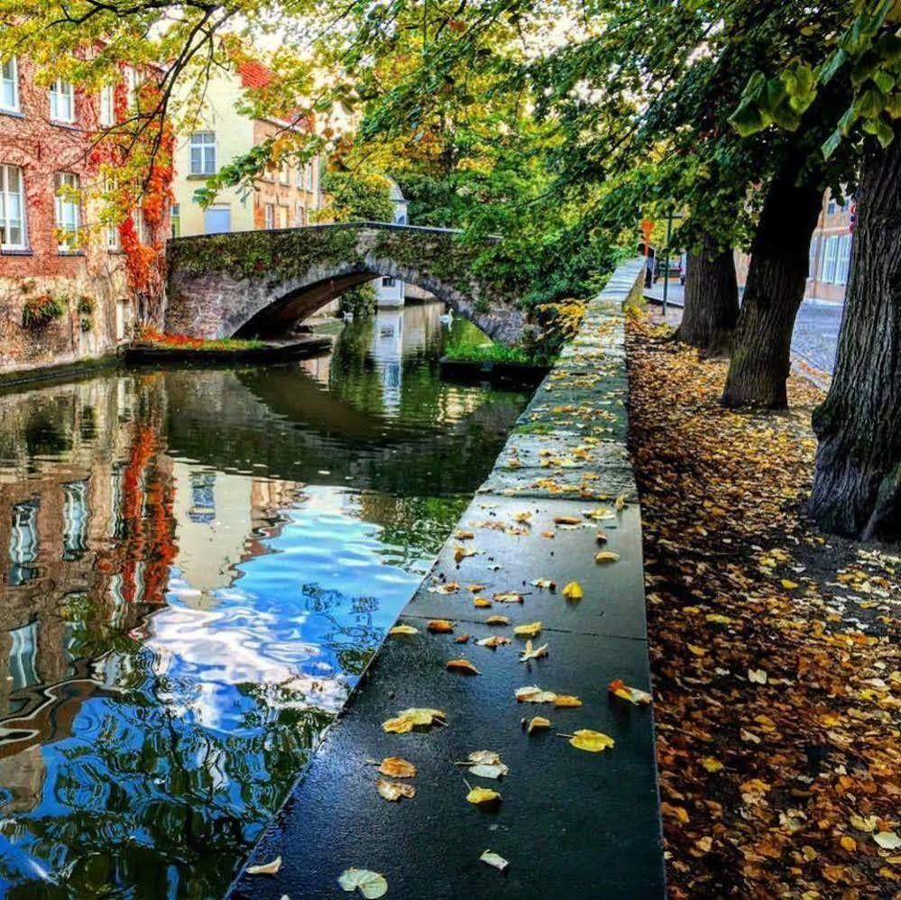 Guesthouse Dijver - Serene Escape In The Heart Of Historic Brügge Exterior foto